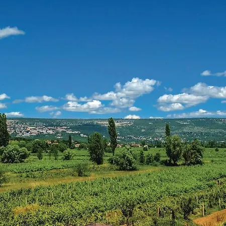 Nyaraló House Dragica