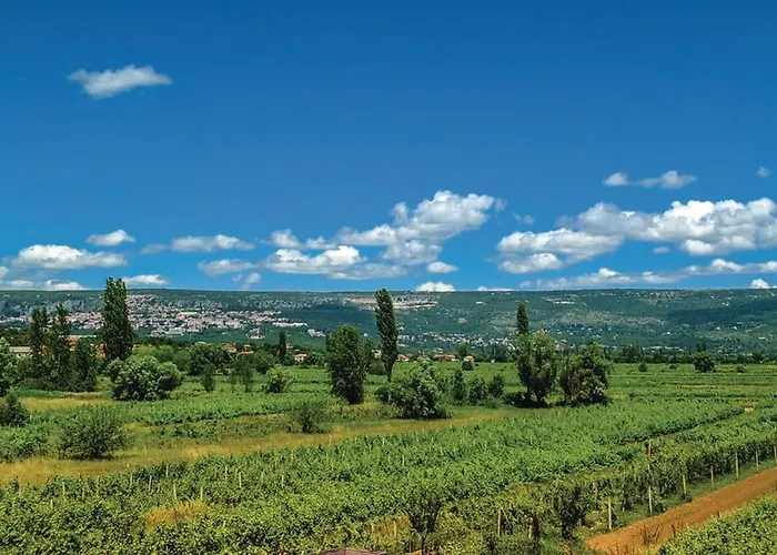 Nyaraló House Dragica